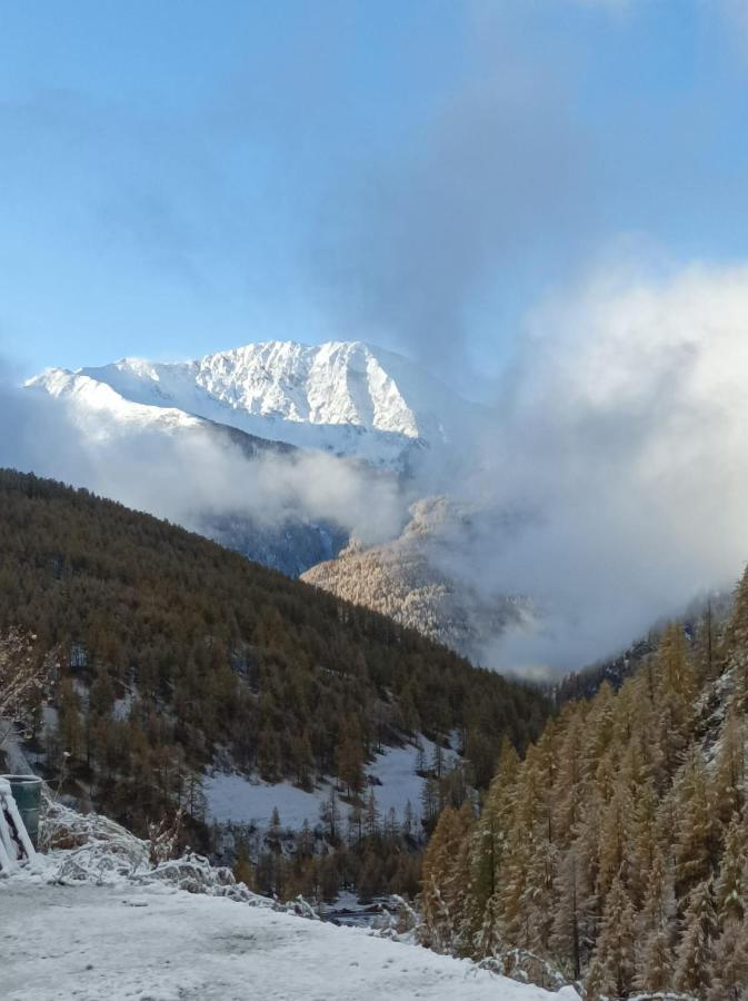 Les Hauts Du Roux 阿布里斯 外观 照片