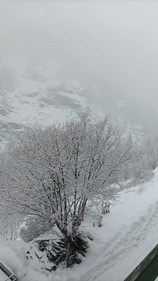 Les Hauts Du Roux 阿布里斯 外观 照片